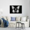Black beauty butterfly canvas Printed wall art