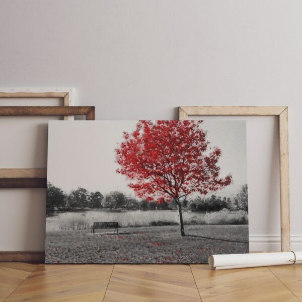 Empty park bench under red tree in black and white Printed On Canvas