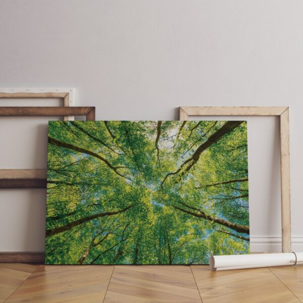 Sky Over Emerald Forest Canopy Canvas Wall Art