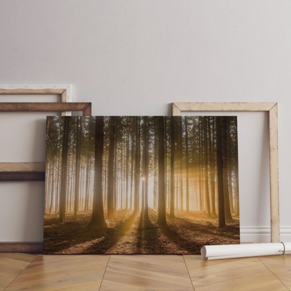 A forest with the sun shining through the clouds Canvas Wall Art