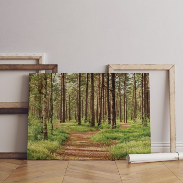 Summer Green Forest Printed On Canvas Wall Art