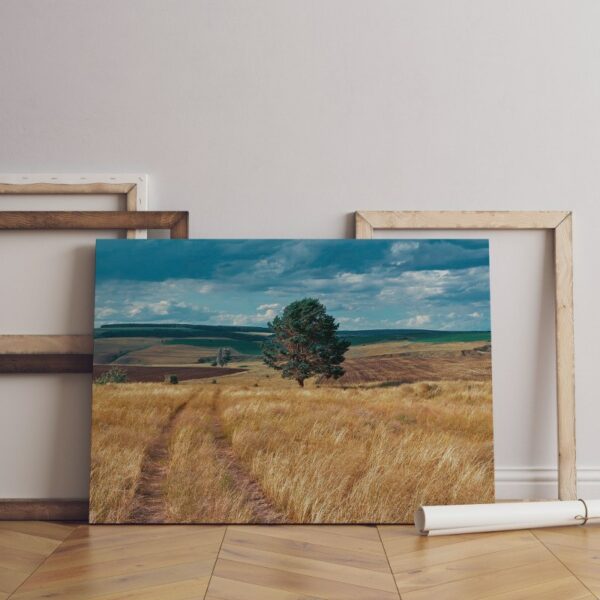 Central Russia agricultural countryside country road Canvas Wall Art