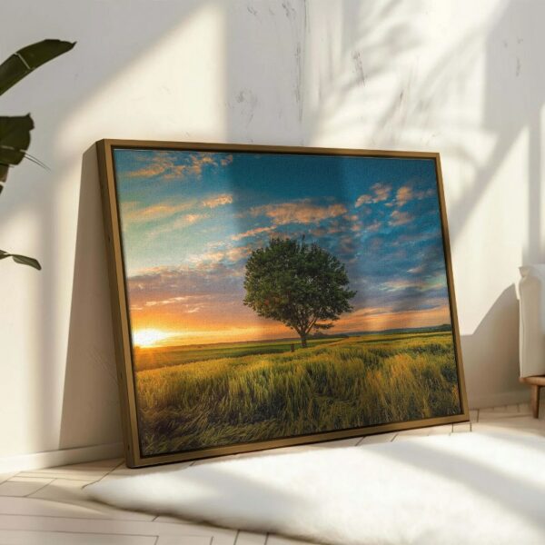 Wide angle tree growing cloudy sky during sunset surrounded by grass