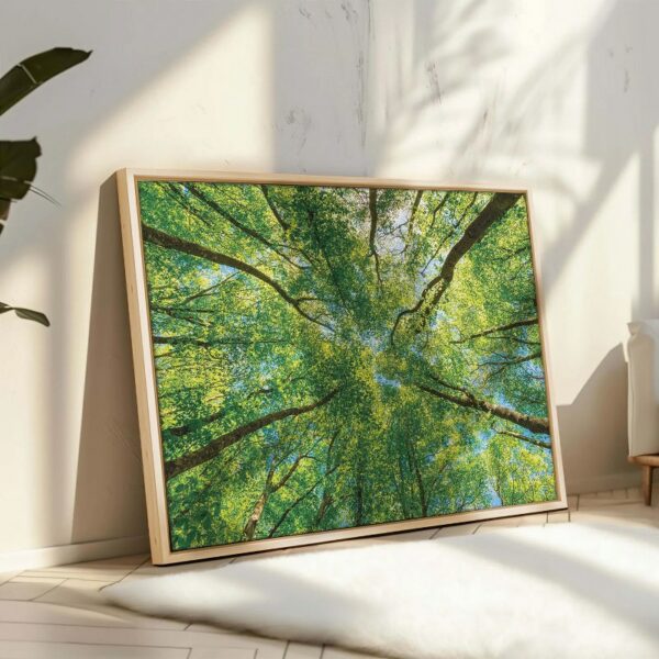 Sky Over Emerald Forest Canopy Canvas Wall Art