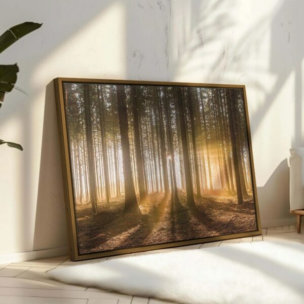 A forest with the sun shining through the clouds Canvas Wall Art